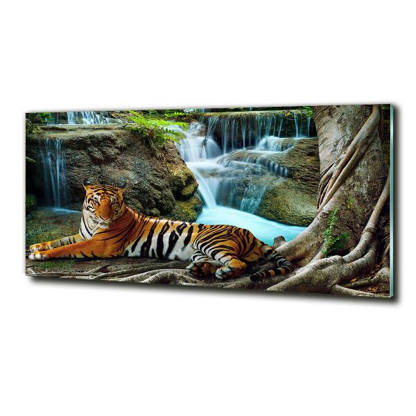 Glass wall art Waterfall tiger