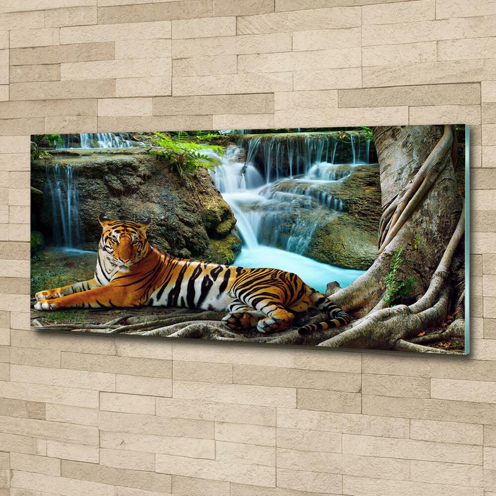 Glass wall art Waterfall tiger