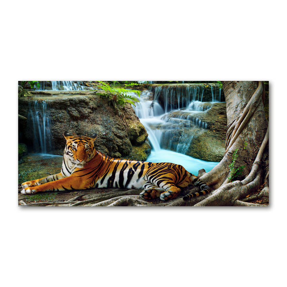 Glass wall art Waterfall tiger