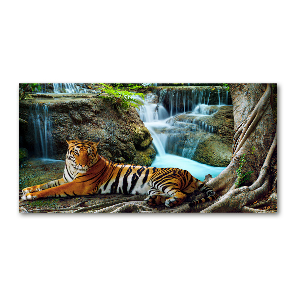 Glass wall art Waterfall tiger