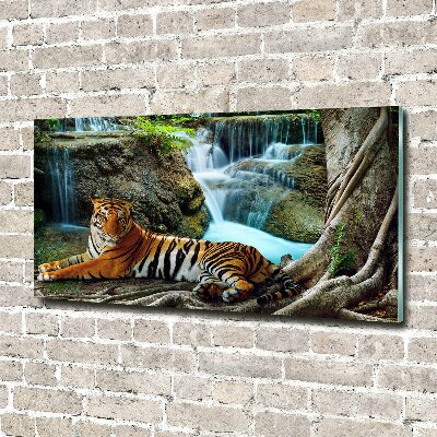 Glass wall art Waterfall tiger