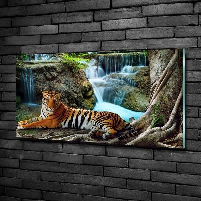 Glass wall art Waterfall tiger