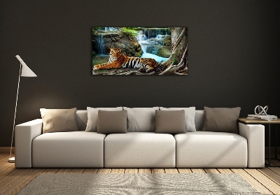 Glass wall art Waterfall tiger