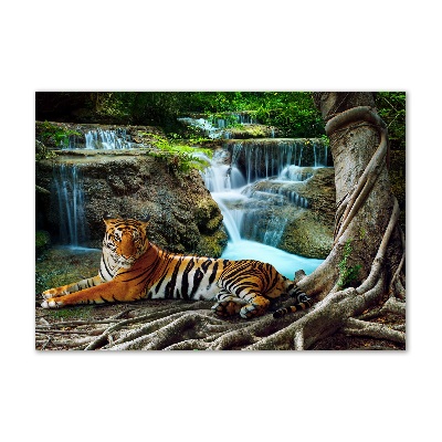 Glass wall art Waterfall tiger