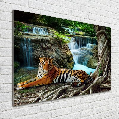 Glass wall art Waterfall tiger