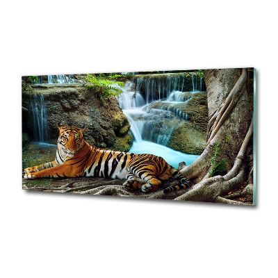 Glass wall art Waterfall tiger