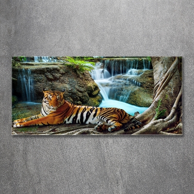 Glass wall art Waterfall tiger