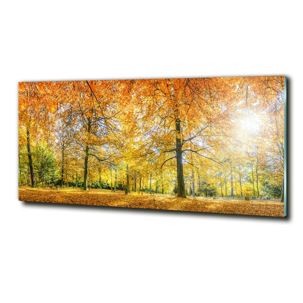 Photo printed on glass Forest in autumn