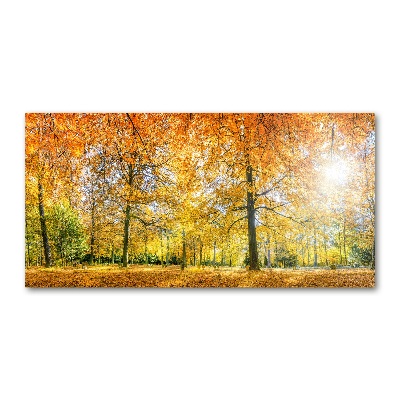 Photo printed on glass Forest in autumn