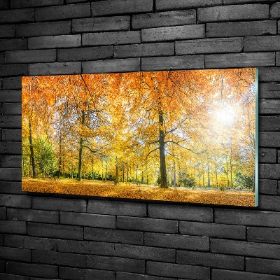 Photo printed on glass Forest in autumn