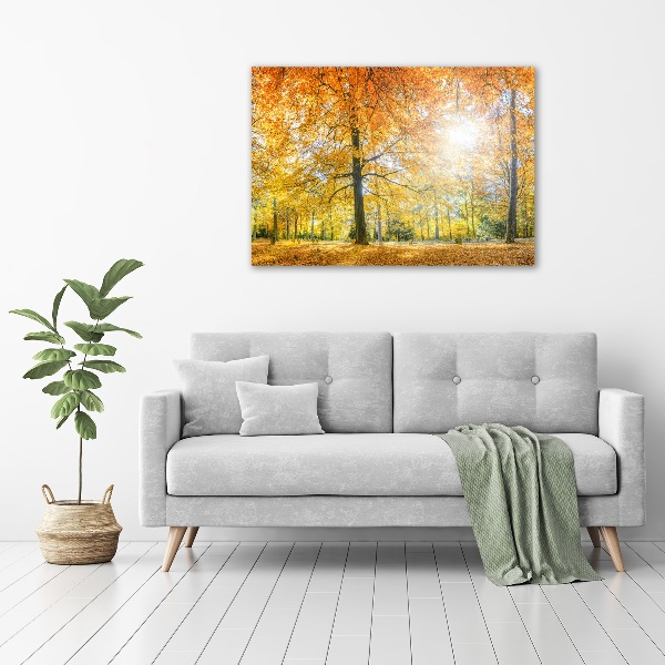 Photo printed on glass Forest in autumn