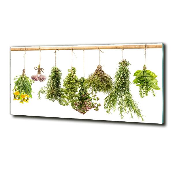 Wall art on glass Herbs on a string