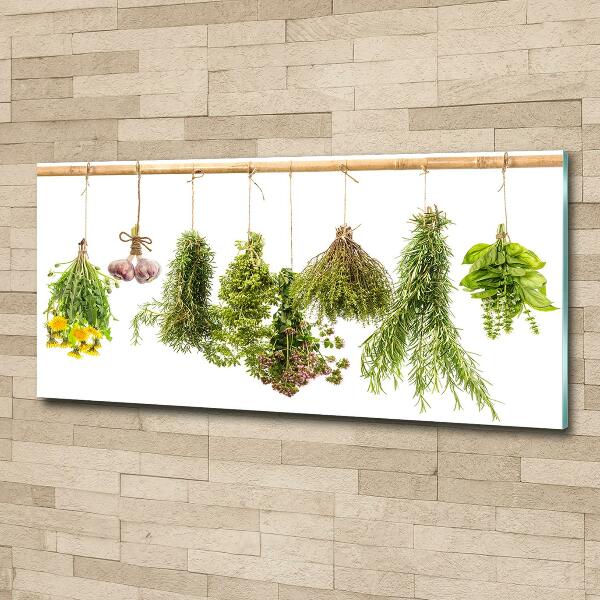 Wall art on glass Herbs on a string