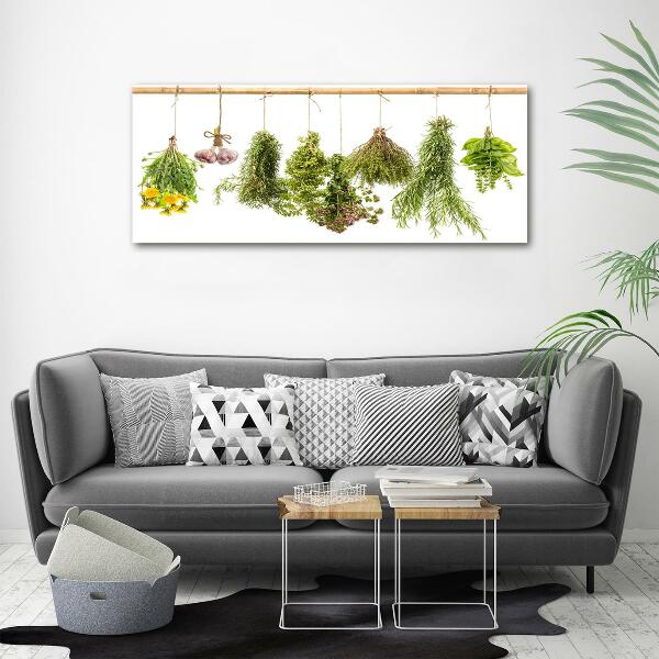 Wall art on glass Herbs on a string