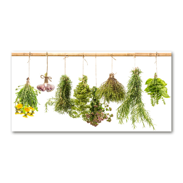 Wall art on glass Herbs on a string