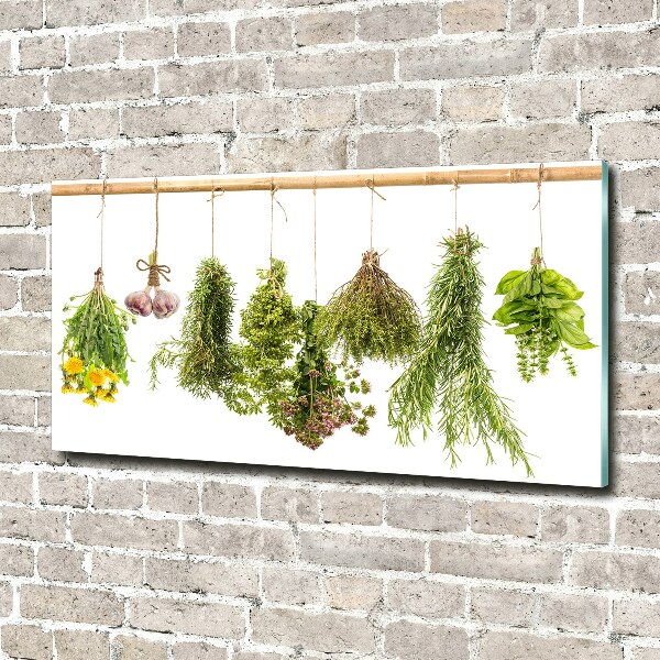 Wall art on glass Herbs on a string