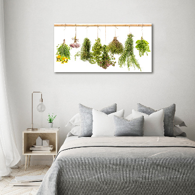 Wall art on glass Herbs on a string