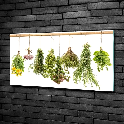 Wall art on glass Herbs on a string