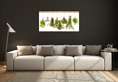 Wall art on glass Herbs on a string