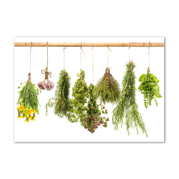 Wall art on glass Herbs on a string