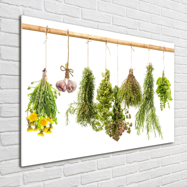 Wall art on glass Herbs on a string