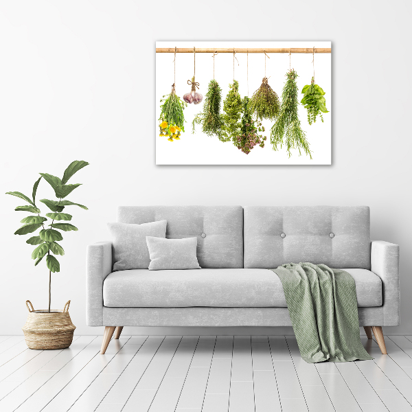 Wall art on glass Herbs on a string