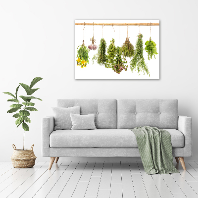 Wall art on glass Herbs on a string