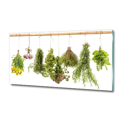 Wall art on glass Herbs on a string