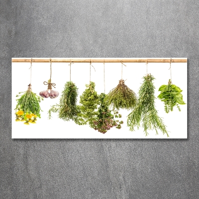 Wall art on glass Herbs on a string