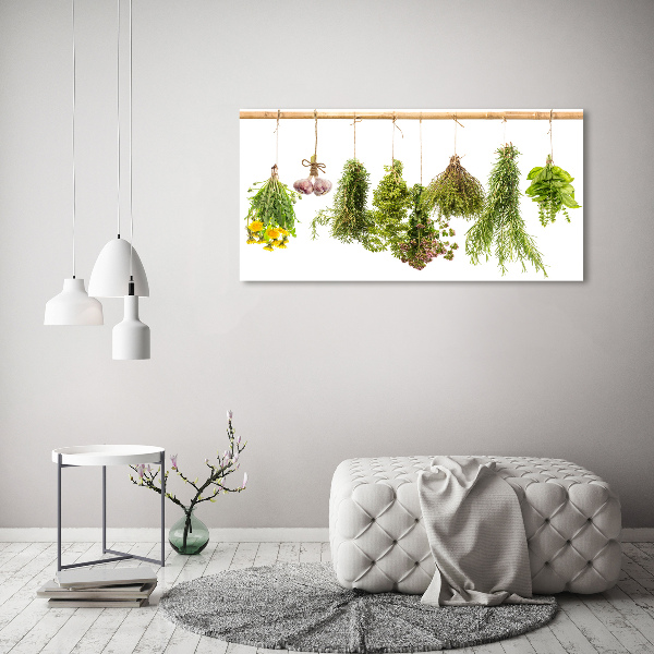 Wall art on glass Herbs on a string