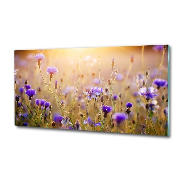 Glass art print Field flowers