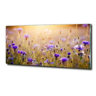 Glass art print Field flowers