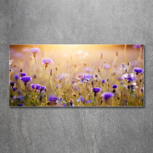 Glass art print Field flowers