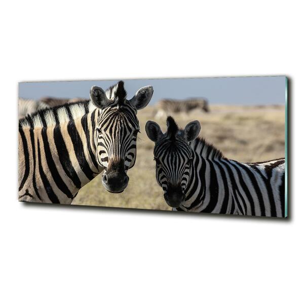 Wall art on glass Two zebras