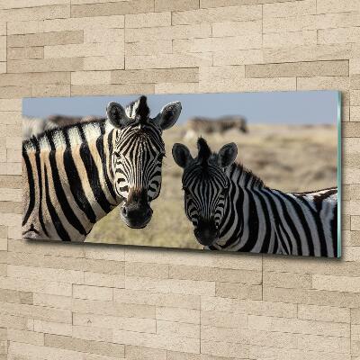 Wall art on glass Two zebras