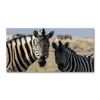 Wall art on glass Two zebras