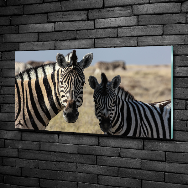 Wall art on glass Two zebras