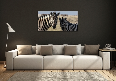 Wall art on glass Two zebras