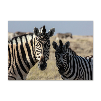 Wall art on glass Two zebras