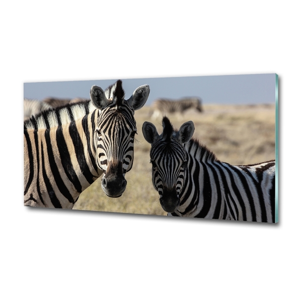 Wall art on glass Two zebras