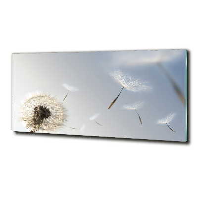 Glass art print Dandelion