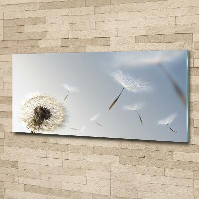 Glass art print Dandelion