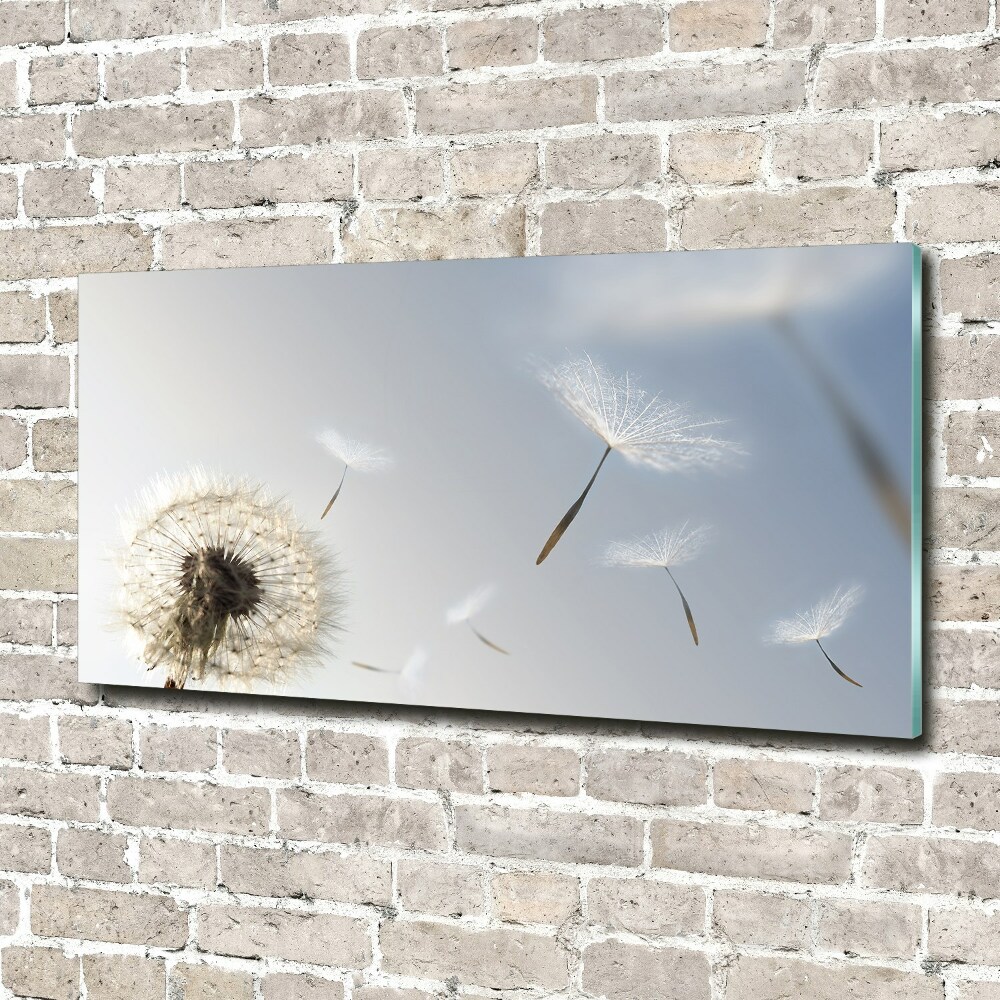 Glass art print Dandelion