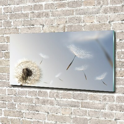 Glass art print Dandelion