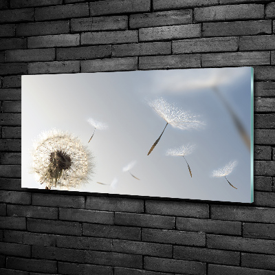 Glass art print Dandelion