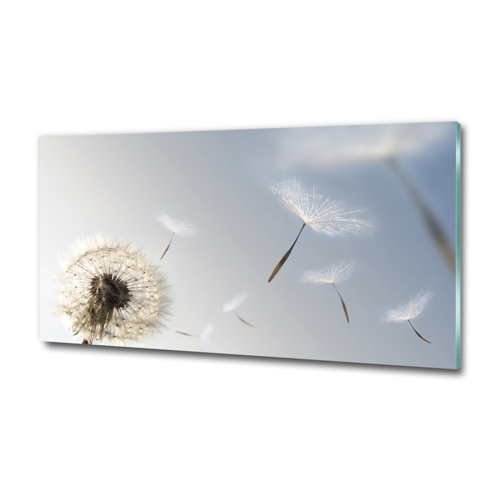 Glass art print Dandelion