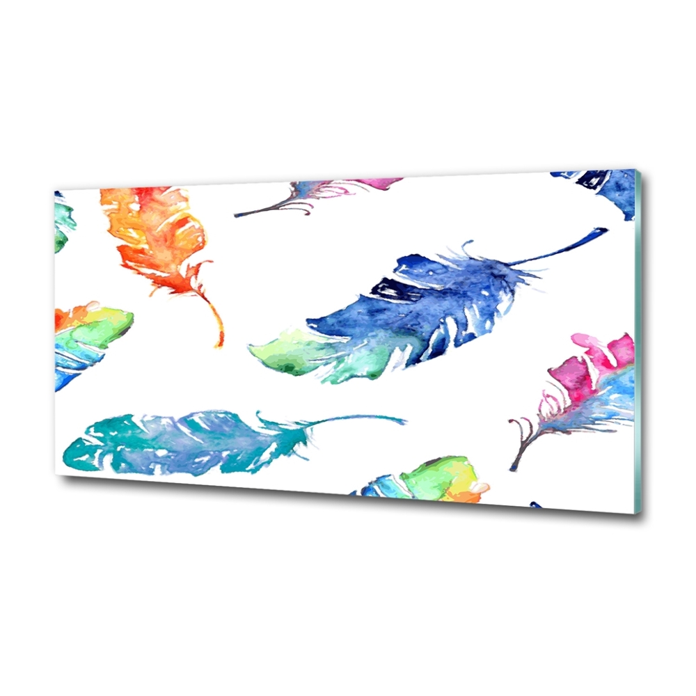 Glass art picture Colorful feathers