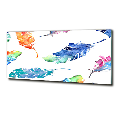 Glass art picture Colorful feathers