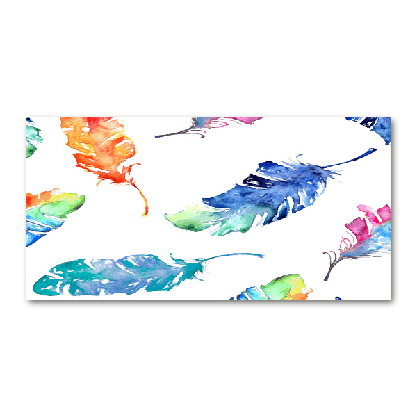 Glass art picture Colorful feathers