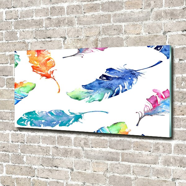 Glass art picture Colorful feathers